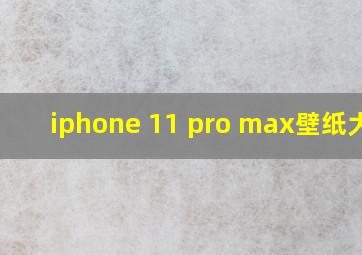 iphone 11 pro max壁纸大小